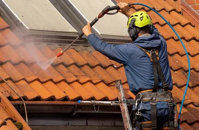 Démoussage et hydrofuge de toiture à Luzay